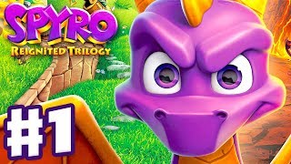 Spyro Reignited Trilogy PS5 4K HDR Gameplay  100 Full Game [upl. by Iatnohs]