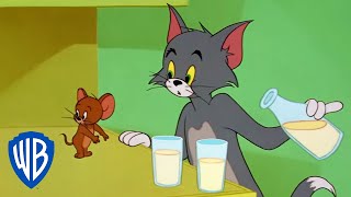 Tom y Jerry en Latino  Tom y Jerry en pantalla grande  WB Kids [upl. by Lilybelle]