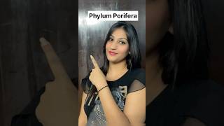 Phylum Porifera in 1 minute😨😳🔥 superfast series neet neet2025 shorts shortvideo short [upl. by Marden784]