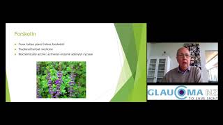 Dr Jim Stewart GNZ Glaucoma Patient Symposium 2020 [upl. by Guimar]