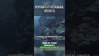 Exploring the Wonders of Hydrothermal Vents Secrets of the Deep Sea shorts [upl. by Stanhope]