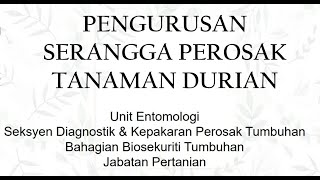 PENGURUSAN SERANGGA PEROSAK TANAMAN DURIAN [upl. by Nagoh]