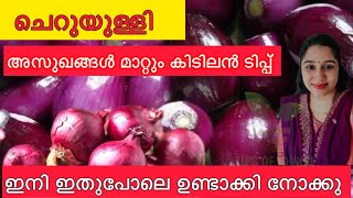 ചെറിയുള്ളി അത്ഭുതപ്പെടുത്തും ക്ഷീണം ചുമ മാറ്റും കഫം ഉരുക്കി കളയുംHealth Tips OTTAMOOLI Kitchentips [upl. by Navnod322]