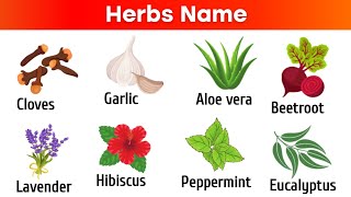 Herbs name in english 🌿 vocabularyherbalenglishvocabulary [upl. by Anneehs]