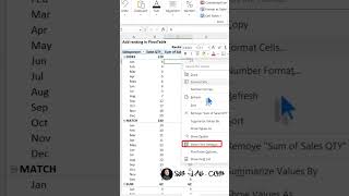 Pivot Add ranking column [upl. by Ulick]