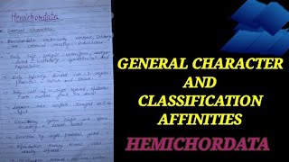 CLASSIFICATION AND AFFINITIES OF HEMICHORDATA hemichordate generalcharacterofhemichordat zoology [upl. by Christi]