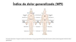 REUMATOLOGÍA 6 Fibromialgia y Polimialgia Reumática [upl. by Oika]