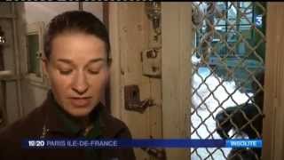 Ménagerie  Paris face cachée  JT France 3 du 29 janv 2015 [upl. by Eatnuhs]