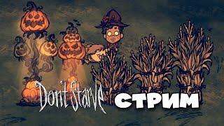 🔴LIVE  Охота на Мальбатроса  Dont Starve Together [upl. by Eclud]