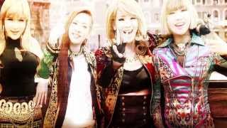 2NE1  Falling In Love  I Dont Care 1hour Reggae MegaMix 2013 [upl. by Ffilc]