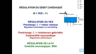 11  Physiologie cardio vasculaire partie 11 [upl. by Nnylkcaj]