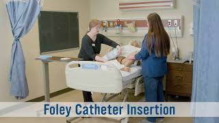 Level 1  Foley Catheter Insertion [upl. by Ainezey85]