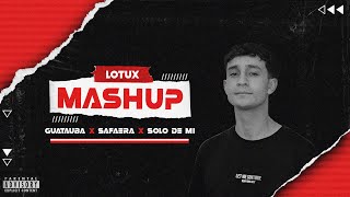 Plan B X Bab Bunny  Guatauba X Safaera X Solo De Mi Lotux Mashup [upl. by Amye]