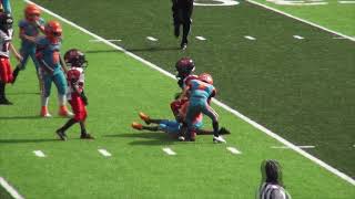 2020 Tri county 8u Superbowl Plant City Dolphins vs Eastbay Bucs [upl. by Nayarb]