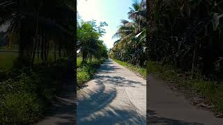 A quotcoolquot village road in Agusan Philippines [upl. by Evelin453]