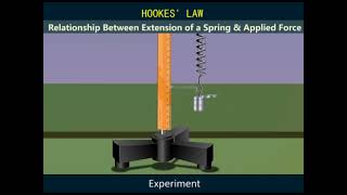 HOOKES LAW [upl. by Ecinej]