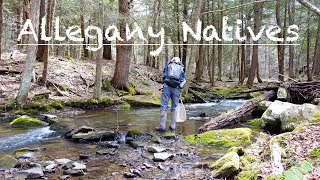 Allegany Natives  Fishing in Allegany State Park [upl. by Evante636]