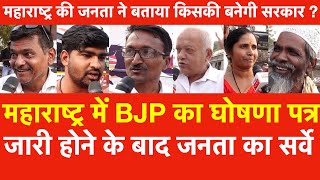 Maharashtra में BJP का घोषणा जारी होने केबाद Survey महाराष्ट्र की जनता ने बताया किसकी सरकार बनेगी [upl. by Atsahc261]