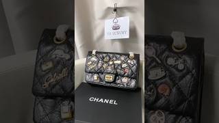 CHANEL 255 Double Flap with Limited Edition Badge chanel chanelbag bagcollection chanel255 [upl. by Palla582]