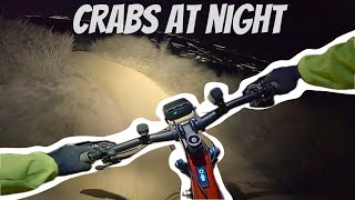 MTB San Diego Crabs at Night Magicshine bike lights [upl. by Brandenburg]