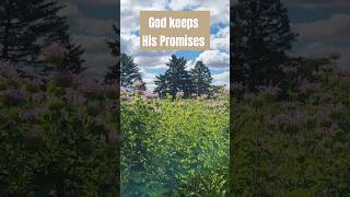 He will do it again God keeps His Promises ❤️ GOD IS GOOD praise godisgood faith christian [upl. by Milburt]