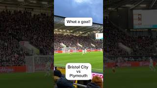 Bristol City vs Plymouth Argyle  301124 [upl. by Prudi875]