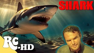 Shark  Full Classic Movie In Color HD  Action Adventure  Burt Reynolds [upl. by Waki399]