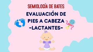 Exploración física de Bates Evaluación de pies a cabeza LACTANTES [upl. by Serolod80]