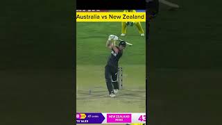 New Zealand vs Australia shorts live cricketvideos videos [upl. by Wallas260]