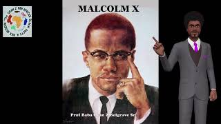 Malcolm X PART 2 [upl. by Anialad]