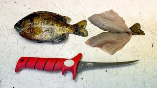 How to quotButterflyquot a Bluegill You Have GOT to Try This [upl. by Fayre]