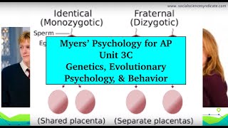 AP Psychology  Myers’ Unit 3C [upl. by Suidualc]