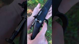 Keystone Crickett 22LR First Look [upl. by Leumek]