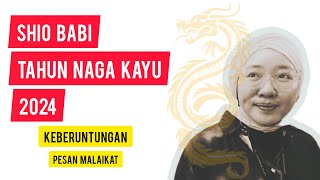 Shio Babi di Tahun Naga Kayu 2024 [upl. by Jonme611]