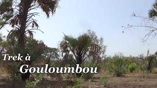 Trek à Gouloumbou au Sénégal [upl. by Aamsa]