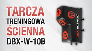 Tarcza treningowa ścienna DBXW10b  DBX Bushido [upl. by Roanne]