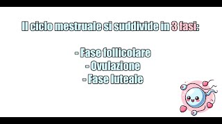 Il ciclo mestruale fasi e importanza ✅ [upl. by Assej]