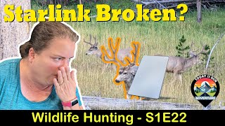 Epic Wildlife  Starlink Broken RVLife  S1E22 starlink brinkley [upl. by Port]