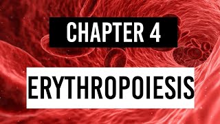 ERYTHROPOIESIS  Stages of erythropoiesis Physiology [upl. by Droflim]