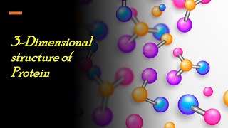 3 Dimensional structure of Protein [upl. by Elconin]