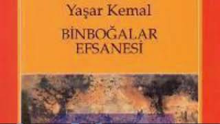 Yaşar kemal🌺Binboğalar efsanesi PART 1 SESLİ KİTAP книга roman yaşarkemal binboğalarefsanesi [upl. by Yurik]