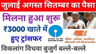 up viklang pension kab aaegi 2023  उत्तर प्रदेश में पेंशन आना शुरू  ₹3000 खाते में ट्रांसफर [upl. by Hanway]