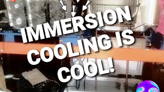 DIY Immersion Cooling Crypto Mining S17 [upl. by Ocer]