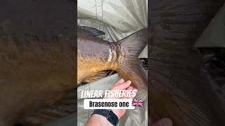 Amazing trip from Ireland to Linear Fisheries Brasenose one Uk 🇬🇧 Full movie 👇linearfisheries [upl. by Anatol]