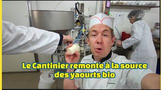 À la découverte de la production des yaourts bio locals quotPlaisir du laitquot 🤡 [upl. by Rrats]