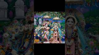 Govind chle aao Gopal chale aao todays shorts  todays upload Banke bihari lal ki jai 🙏🤲❤️🎉🌷 [upl. by Enylorac236]