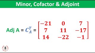 How to Find the Minor Cofactor amp Adjoint of A Matrix [upl. by Nissie]