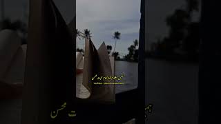 Hamin Maloom Tha Anjaame Mohabbat🥀 poetry aleezakanwaldiary sadpoetry shorts short shortvideo [upl. by Brocky]