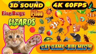 CAT GAMES TOM TV amp BiBi  Ultimate Compilation Catching The LIZARDS  Flies FireBugs🦎11 HOUR🦎Vol 25 [upl. by Aelyak]