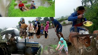 Jhapa ma ashar lage sangae dhama dham kam suru dhan ropai jhapavlog villagevlog asar [upl. by Augusto]